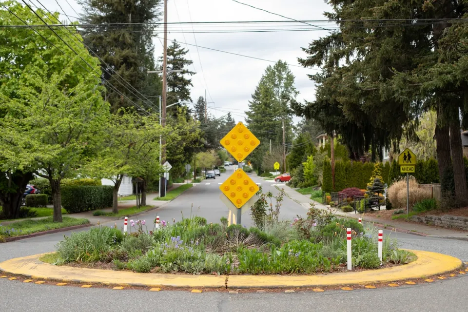 Small oundabout with plants on neighborhood street.